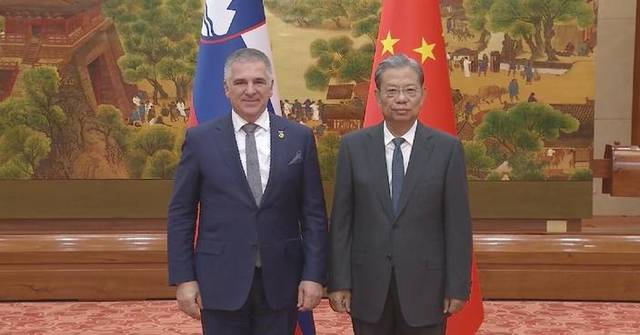 China's top legislator meets Slovenian National Council president