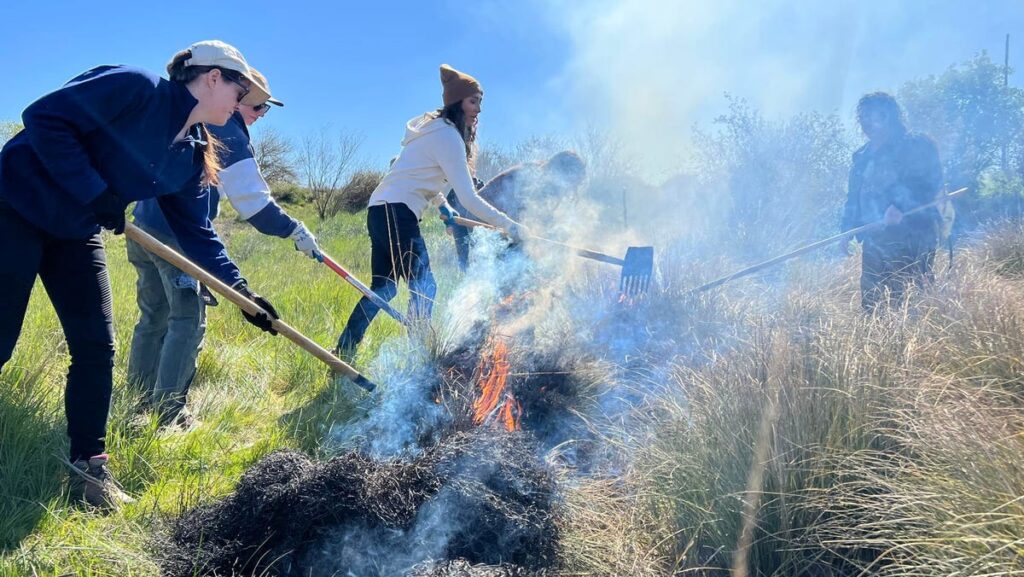 Tree-ring researchers find record of Apache fire management