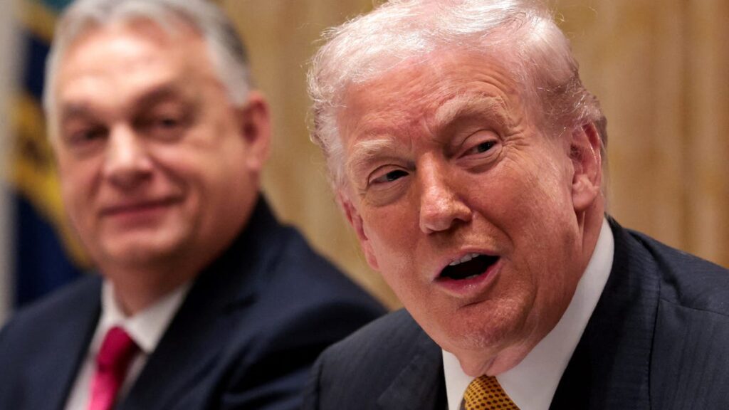 President Trump says US will boycott G20 summit in South Africa President Trump says US will boycott G20 summit in South Africa