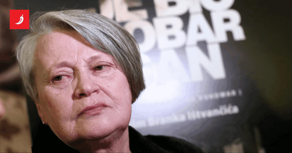 Nicolier's mother on the eve of the funeral: I don't want BBB, Torcida, HOS flags. I'm burying my son