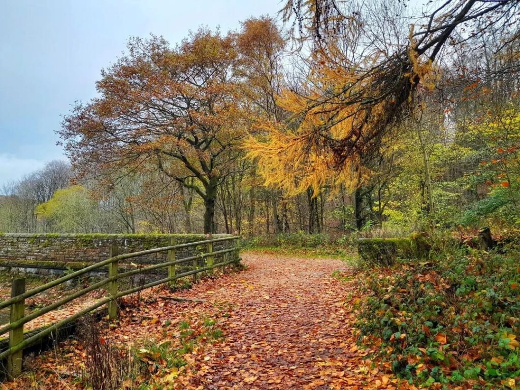 A walk around the Reservoirs