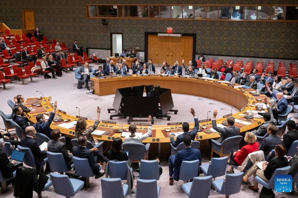 UN Security Council renews authorization of EU-led stabilization force in Bosnia and Herzegovina-Xinhua