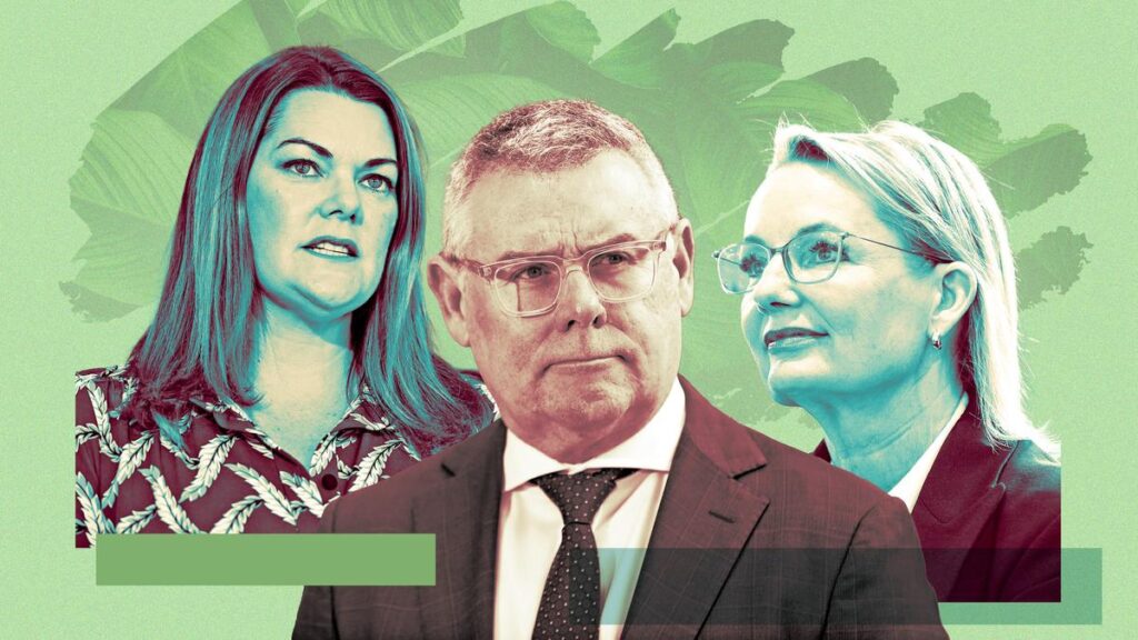 Australian news and politics live: Watt says environment bill will happen with or without Coalition, Greens