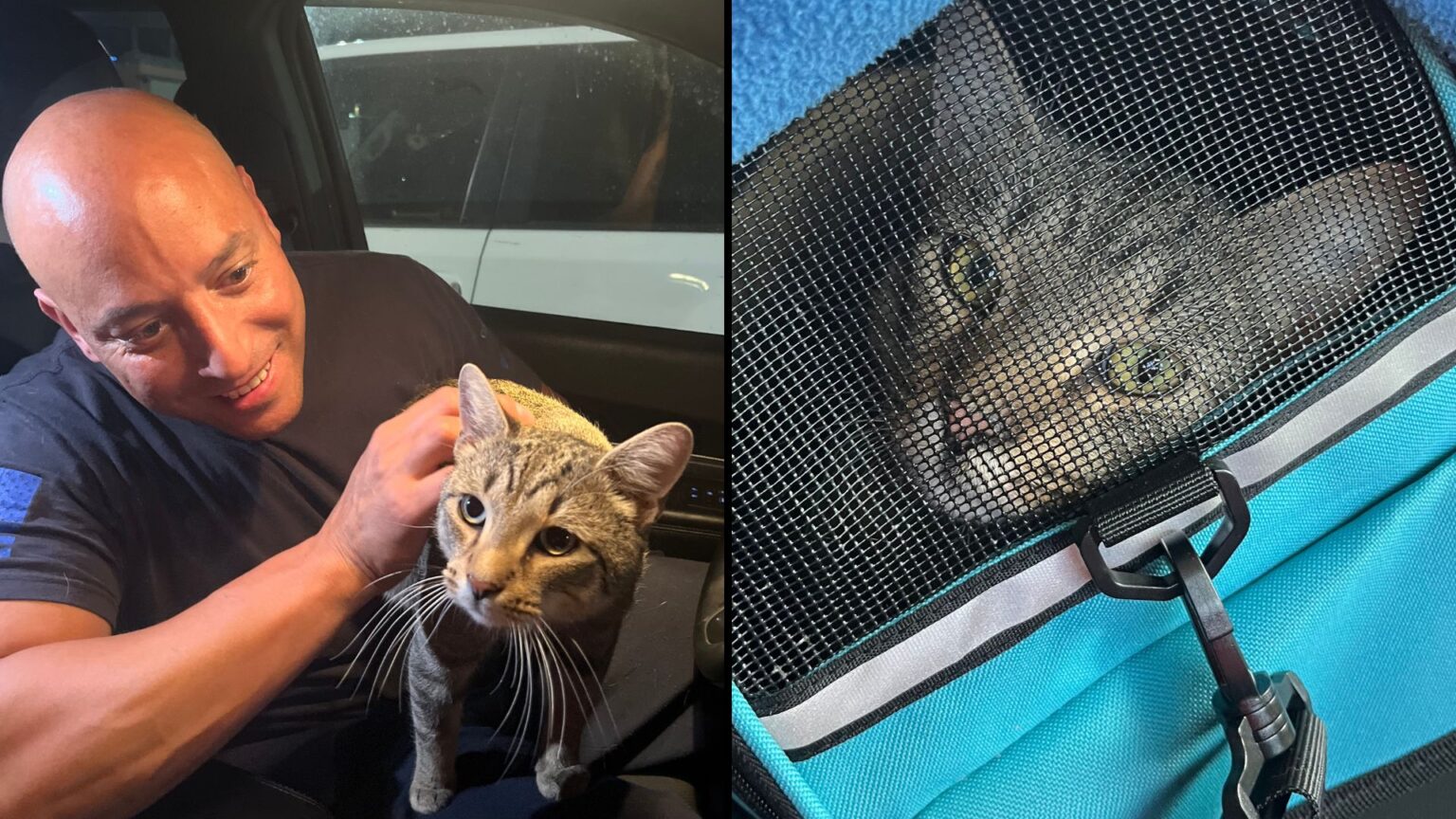 soldier rescues Polish stray cat ‘Pluto’ in heartwarming story KFOX
