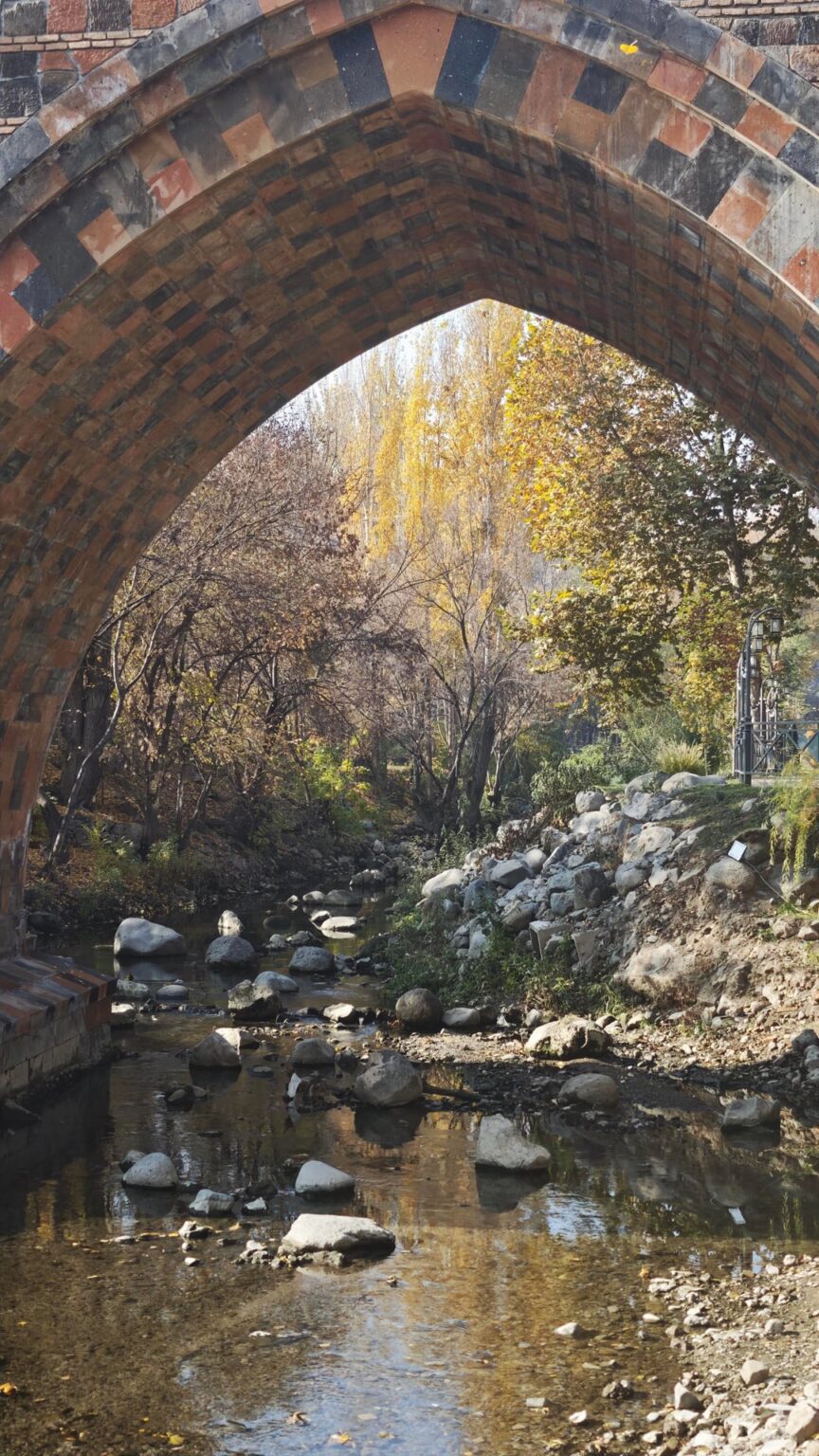 Found a new park area for walks. Nice and quiet