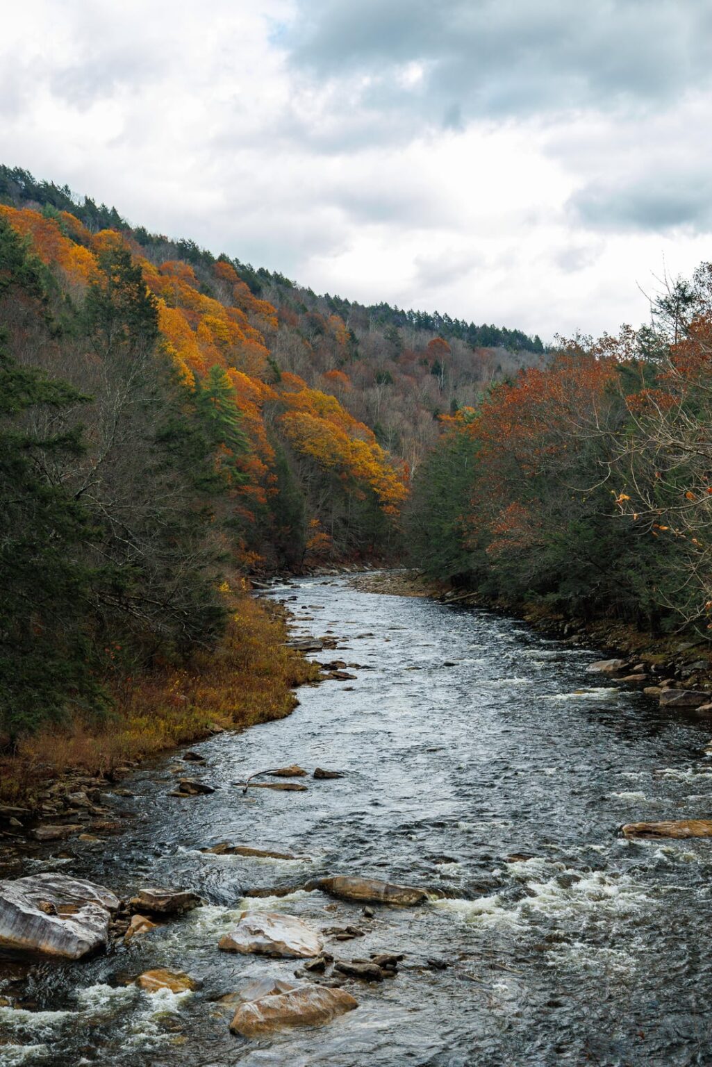 Soaking up the last of the color. Pennsylvania.