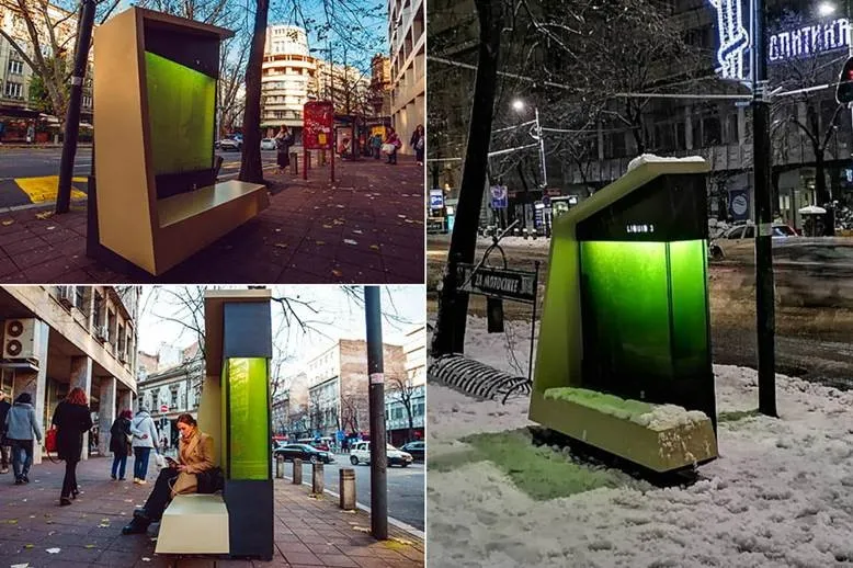A Liquid Tree; Serbia’s Algae-Based Solution to Urban Air Pollution; LIQUID-3