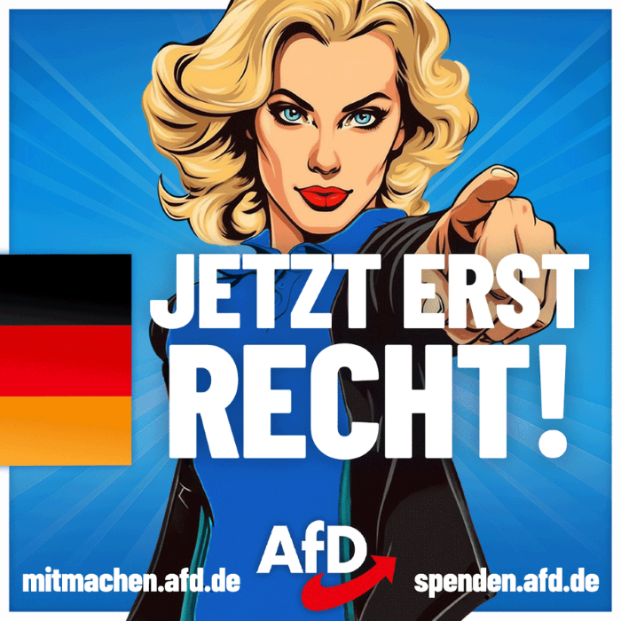 Germany's far-right AfD MPs to attend BRICS summit in Russia