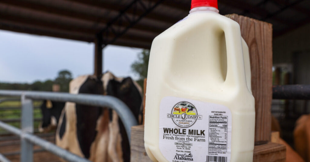 Whole Milk in Schools Could Provide Boost to Farm Economy | Newsline