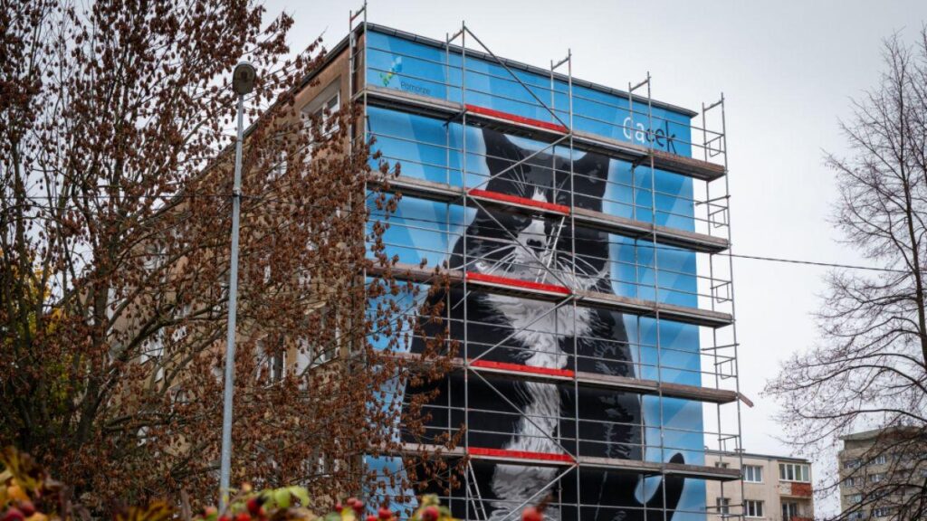 ‘Kim Kardashian of the cat world’ honored by XL-sized mural in Polish city