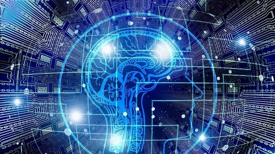 Representational Image(Pixabay)