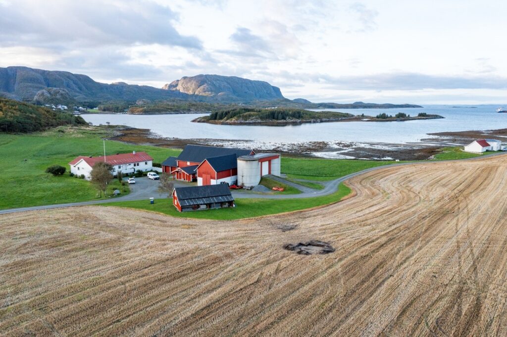 The woman lived in Bjugn during the Viking Age. Credit: Raymond Sauvage, NTNU University Museum