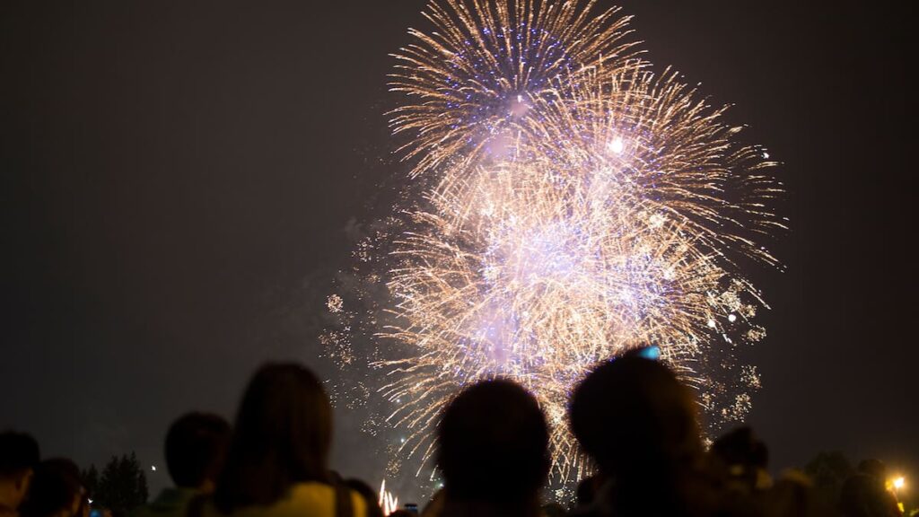 ‘Enough is enough’ – New Zealand First wants to ban private fireworks