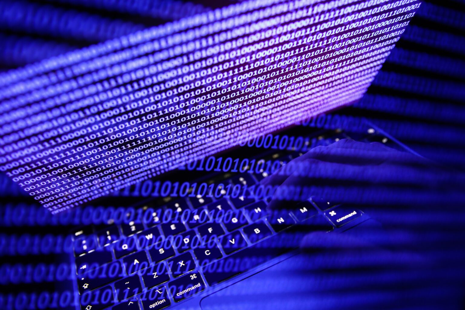 The Hidden Economy Behind Every Scam Email | American Enterprise Institute