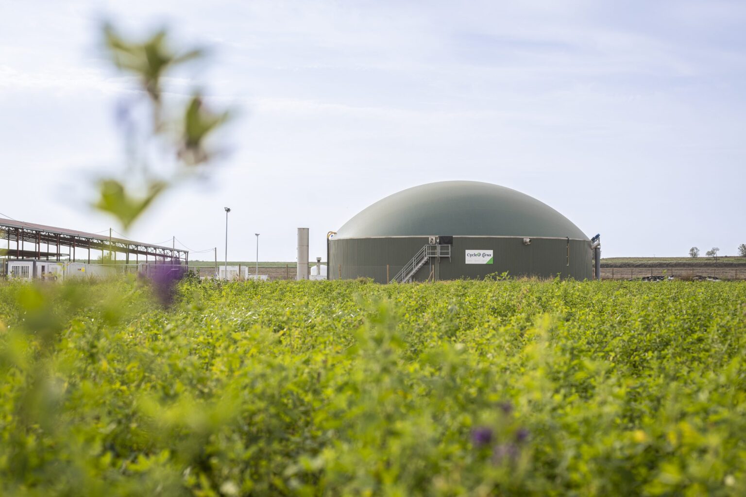 Anaergia forms joint venture to build Ora biogas plant in Southern Italy