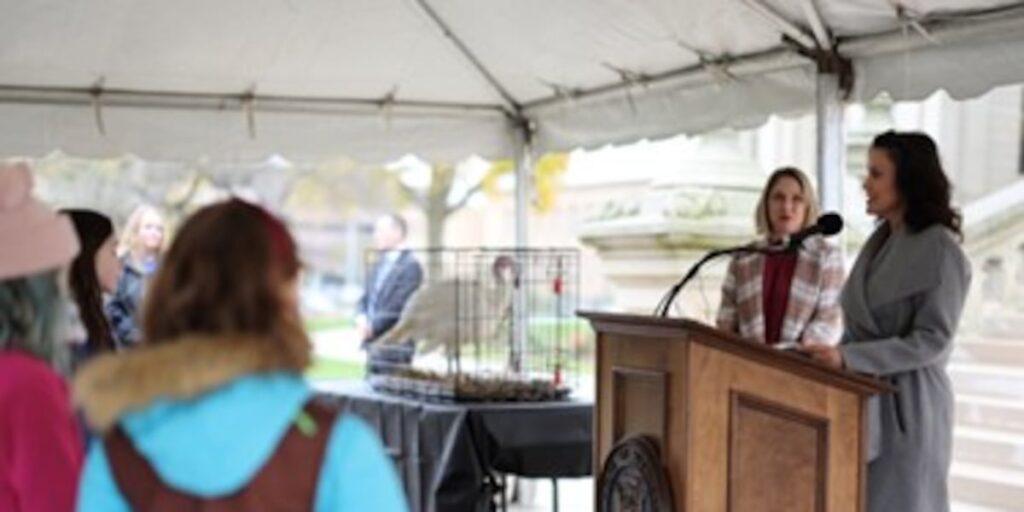 Whitmer launches naming contest as she pardons two turkeys ahead of Thanksgiving