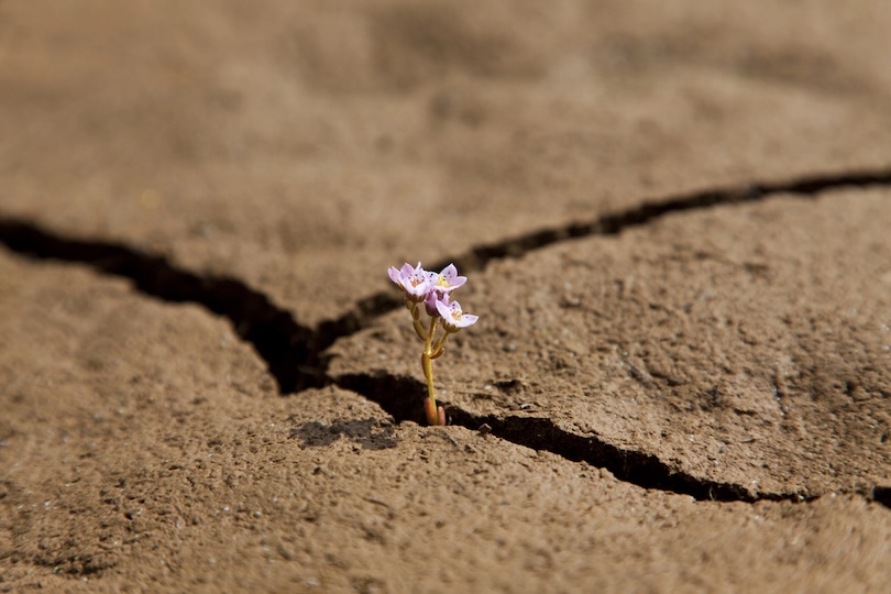 Opinion – Strategic Voids in Global Environmental Governance 