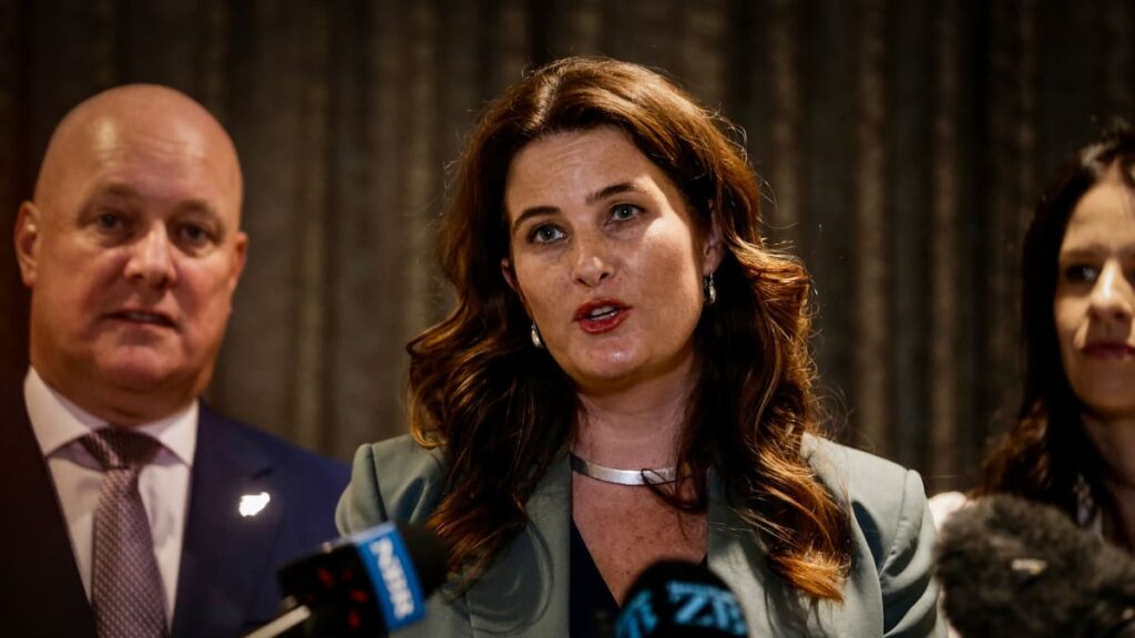 The ritual and reality behind New Zealand’s endless political announcements – David Harvey