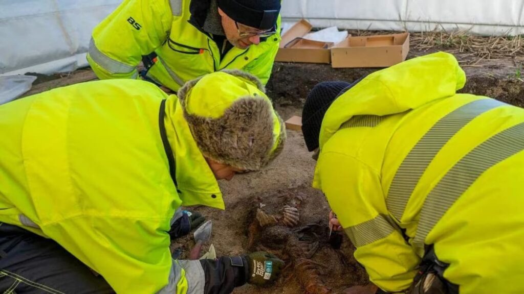 ‘Extremely rare’: Viking discovery in Norway stuns historians
