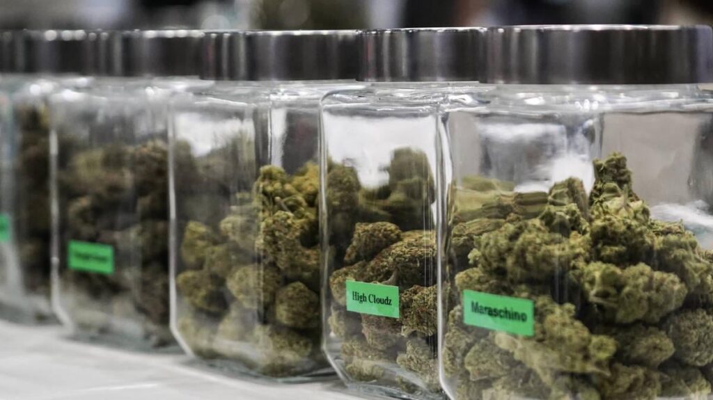 Calls to grow UK economy with cannabis as Snoop Dogg invests in ‘untapped’ market