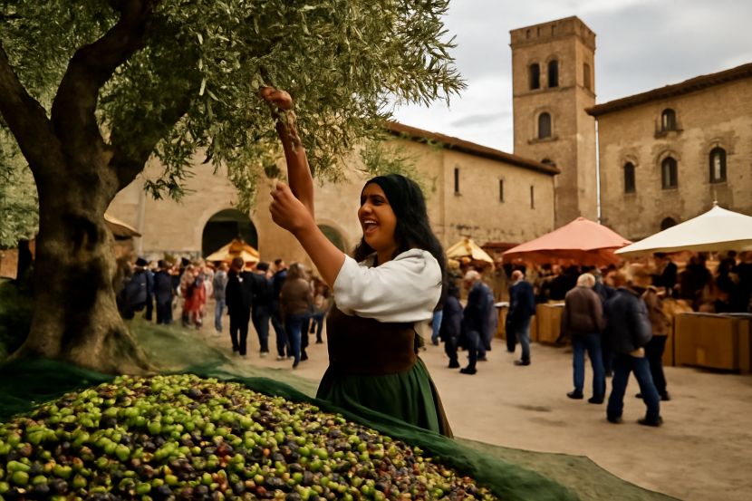 Celebrate Italy’s Olive Harvest Season: A Guide to the Best Olive Oil Festivals Across the Country