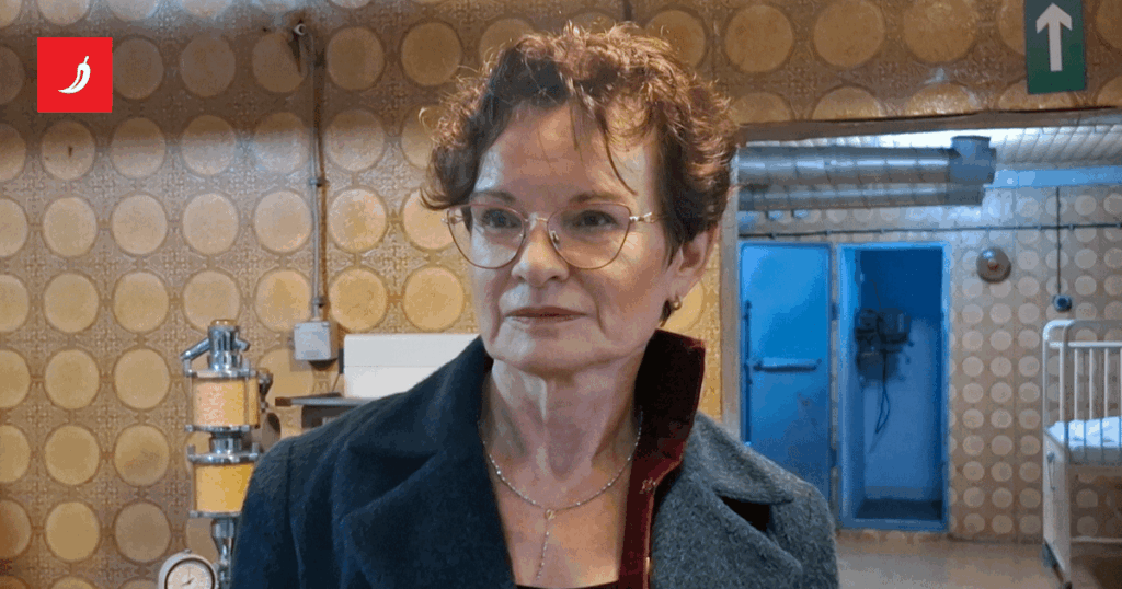 Vukovar war doctor: We greeted each other with "see you in Zagreb"