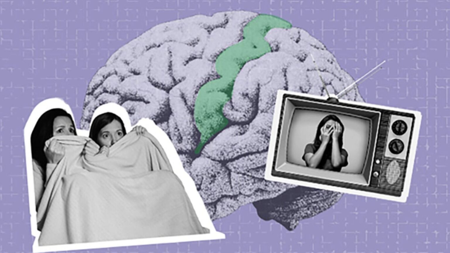 Hollywood movies help neuroscientists decode brain’s ‘experience maps’ The Blueprint