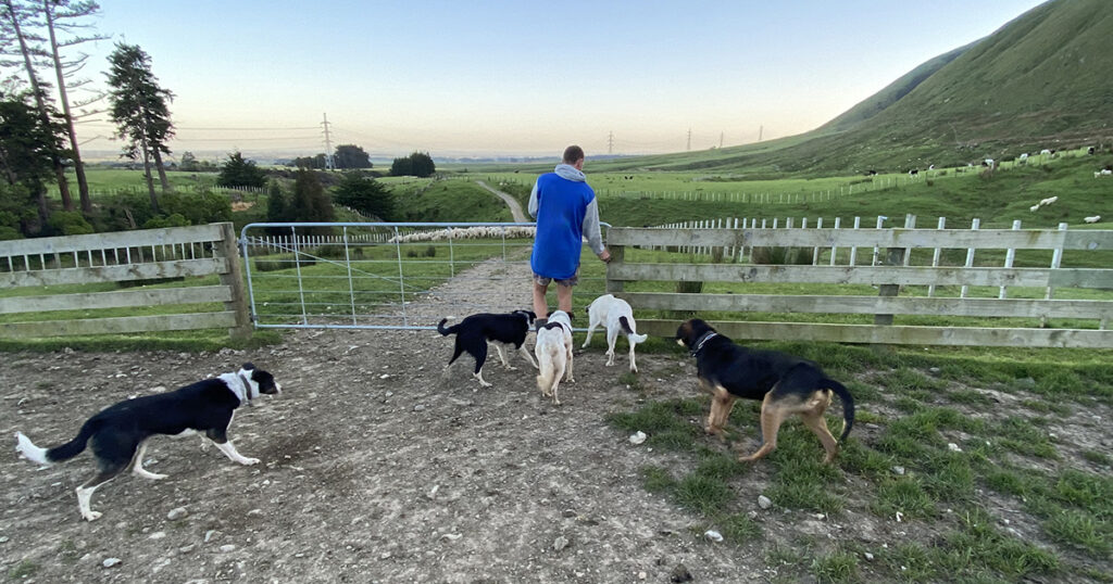 E-diary notices: 14 November 2025