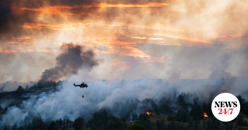 Scientists reveal the culprit for half the fires in Greece: DEDDIE