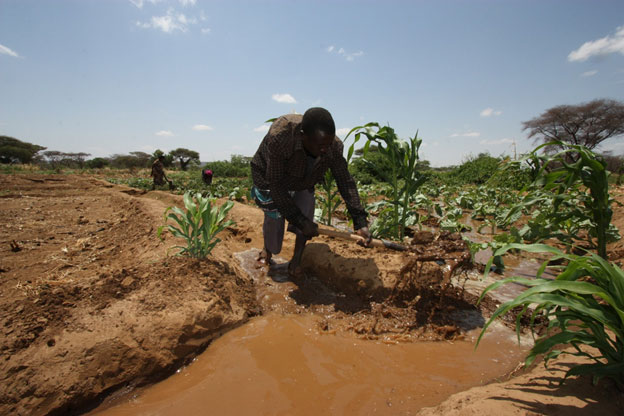 What Must Change if Global Climate Talks Are to Deliver Justice for Africa — Global Issues