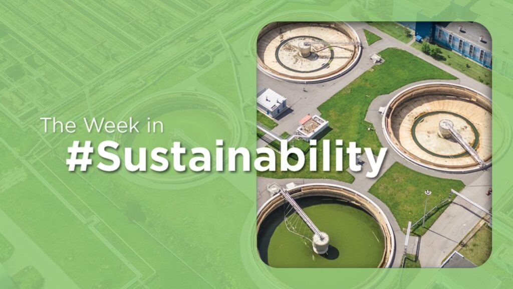 COP30 Removes Fossil Terms Amid Calls to Boost Mexico’s Funding