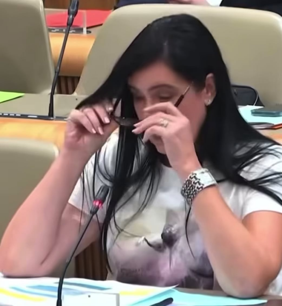 Freedom movement: It is right that Albanian is spoken in Slovenian schools