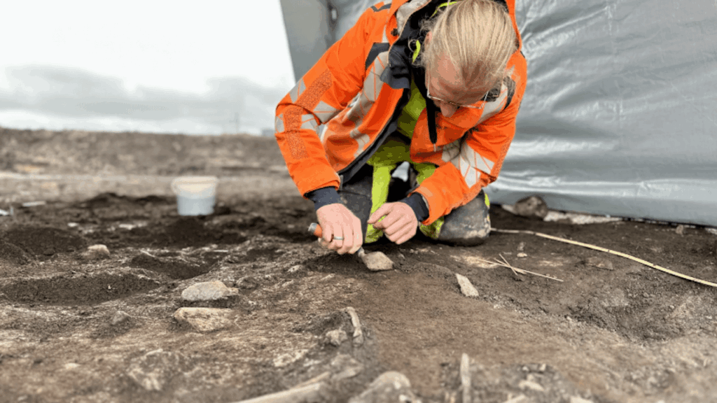 Skeleton find may be Denmark's oldest - It is not every day that archaeologists find a bog skeleton. But archaeologist Daniel Teilmann did that the other day, and it may turn out to be ancient.
