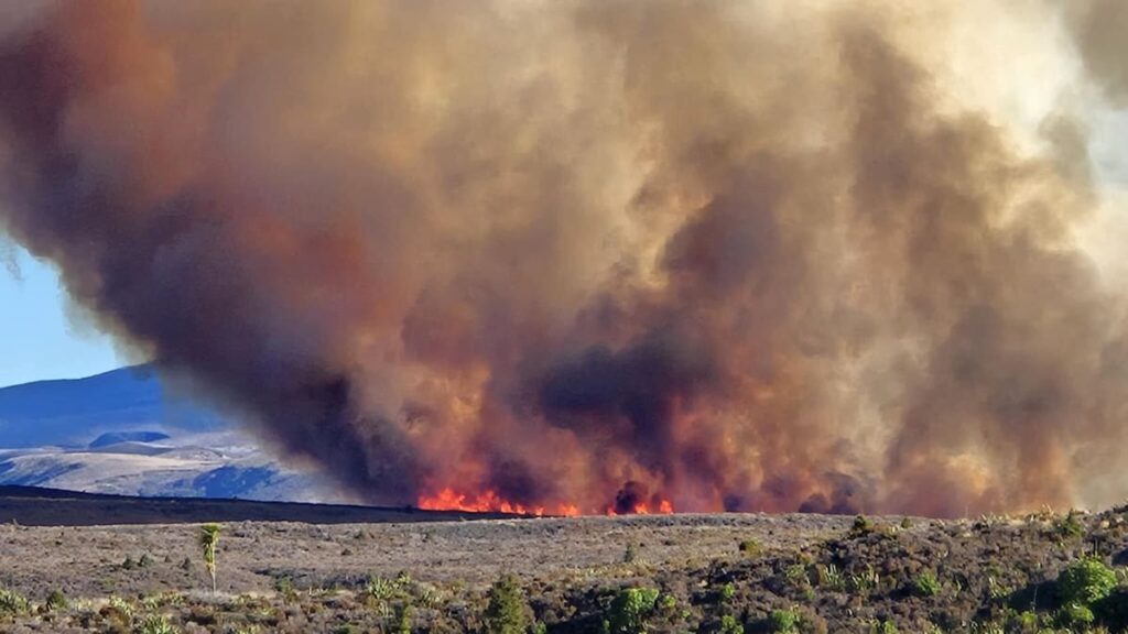 Tongariro National Park fire: 300 hectares burning, trampers being airlifted out