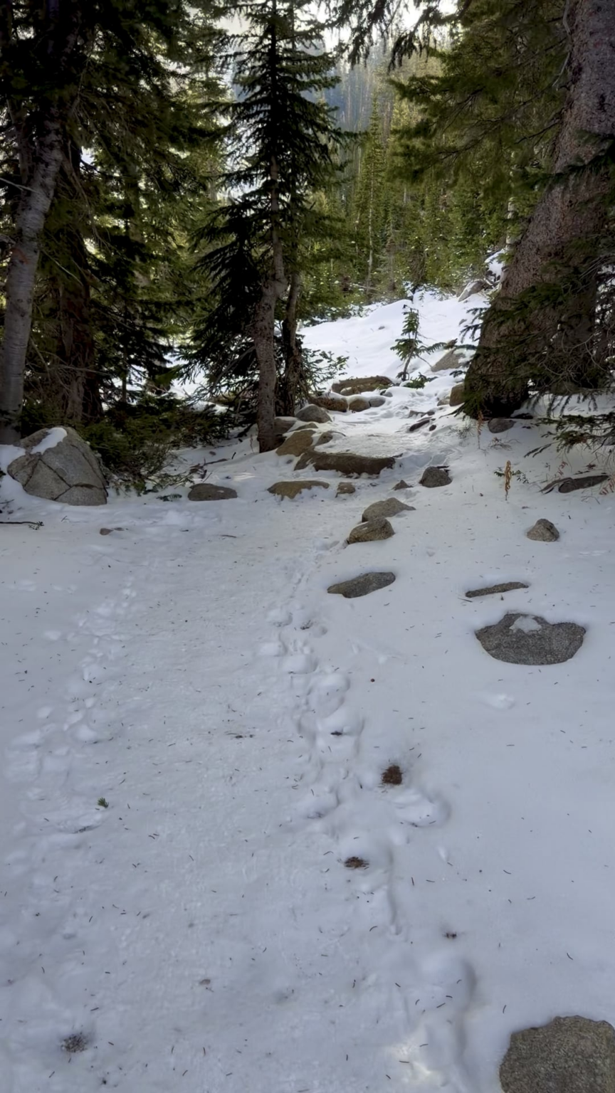 Yet another reason I love winter hiking in the mountains
