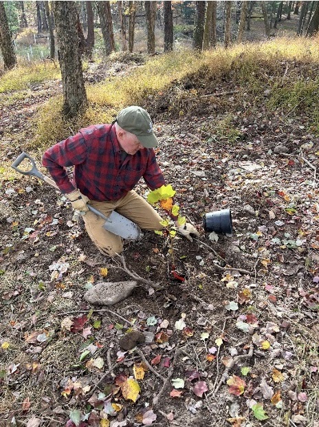 North Branch Land Trust Receives Healing The Planet Grant From The GIANT Company, Keep PA Beautiful To Support Native Tree Planting In Luzerne County