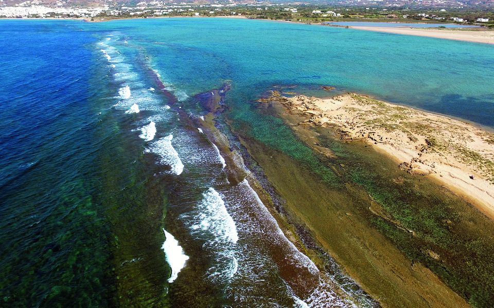 Nature-driven method aims to save coasts