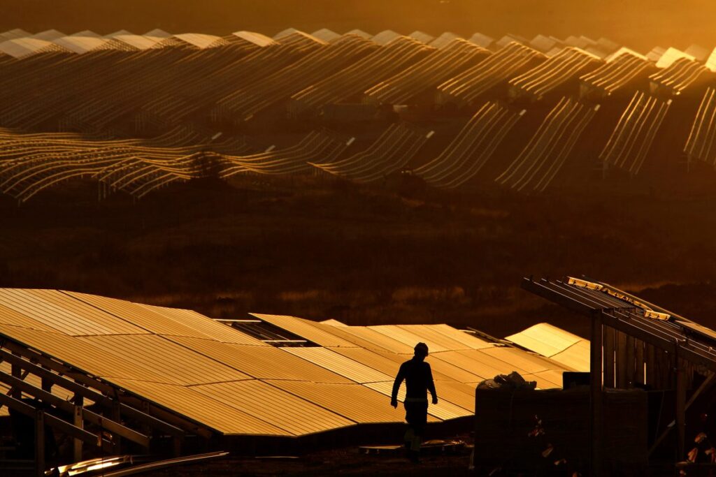 Spain curtails nearly 20% green output in year to date – lobby | Montel News