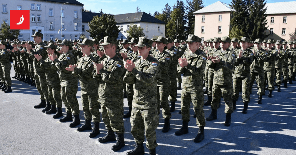 Young people from the diaspora: There is no way for me to serve in the army in Croatia. I'd rather go to the Bundeswehr