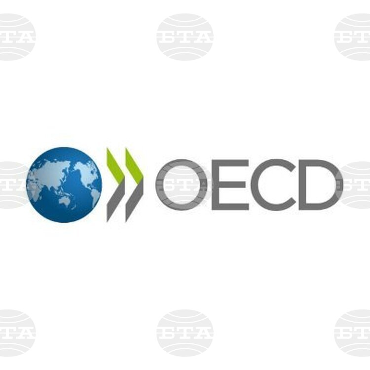 Bill Regulating Status of OECD Officials, Property in Bulgaria Clears First-Reading Committee Stage