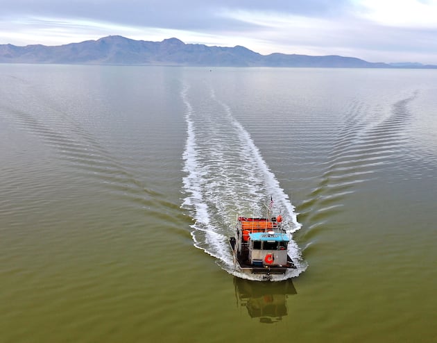 How aquaculture expansion helps Utah’s economy