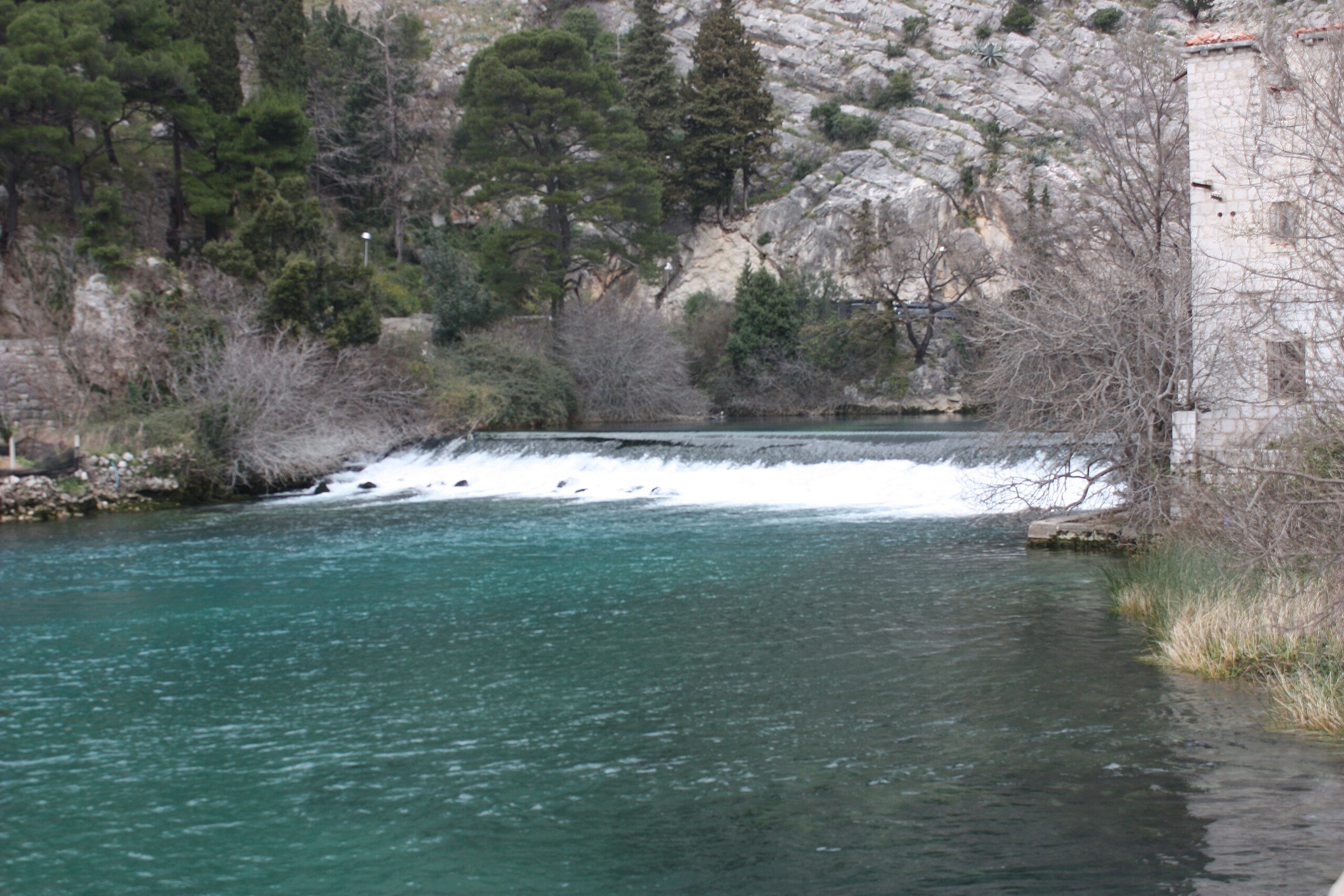 Ombla River