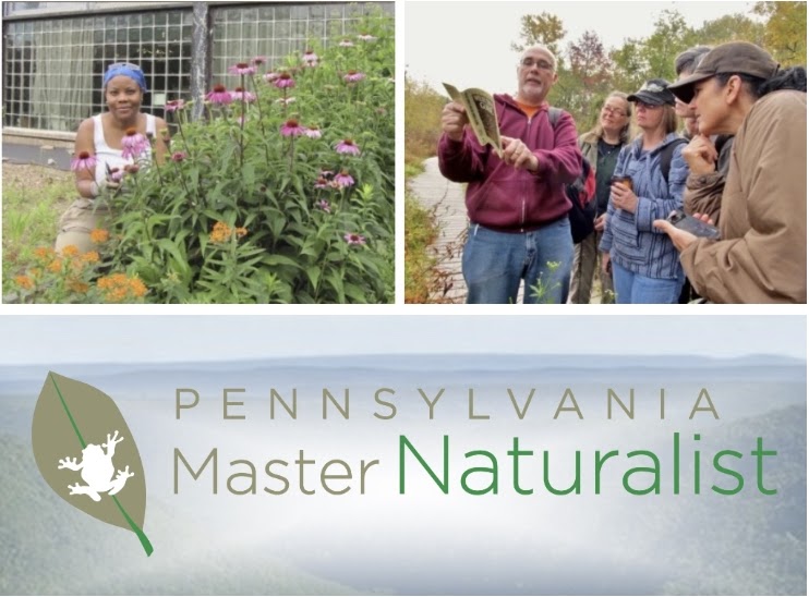 Apply Now! Spring Pennsylvania Master Naturalist Training Now Available In 9 Counties Across The State