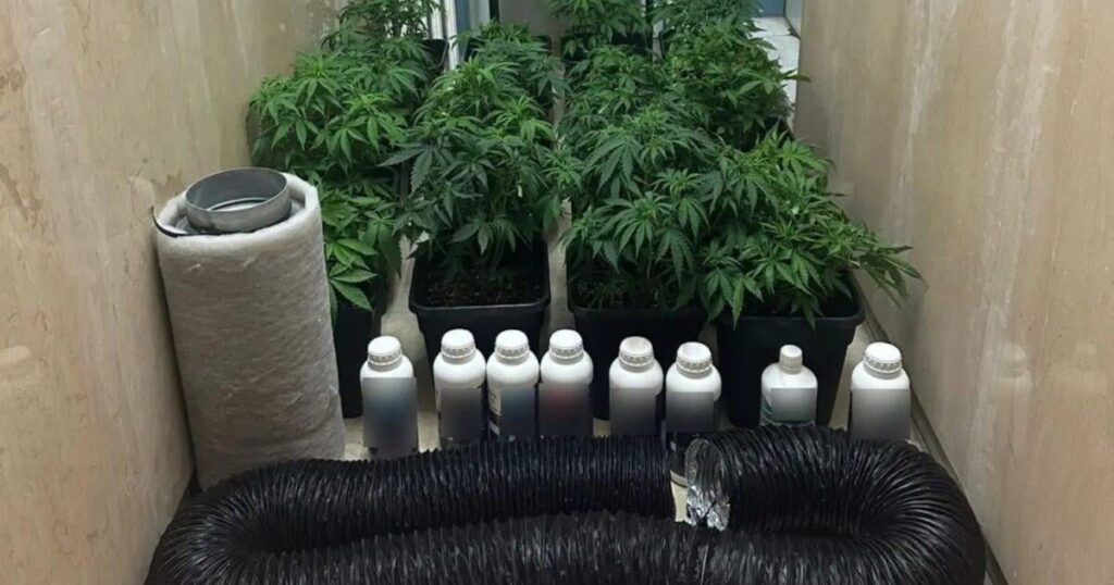 A large criminal organization defrauding citizens was dismantled: 45 arrests, more than 7 million euros in their loot