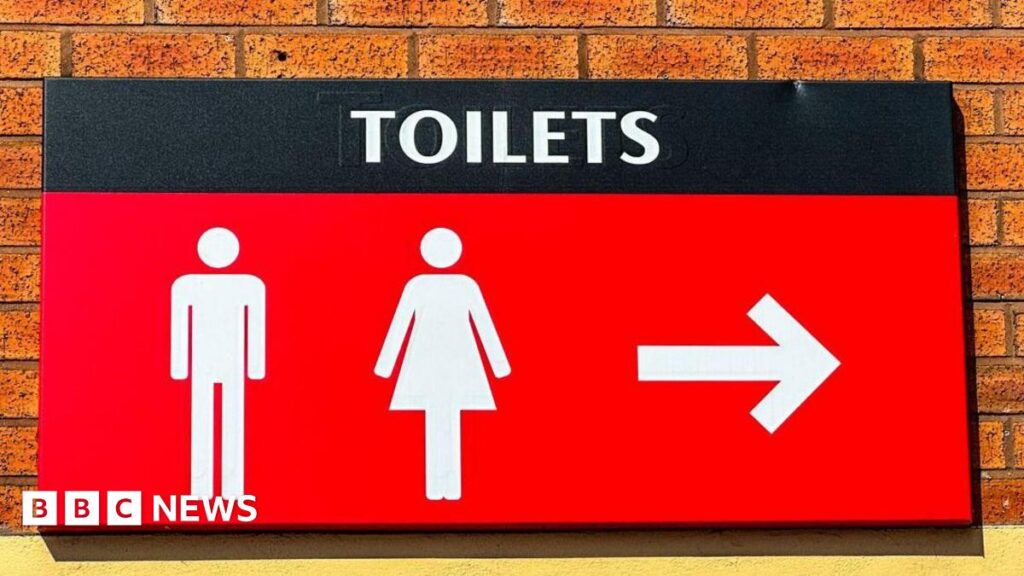 Call for greater access to public toilets