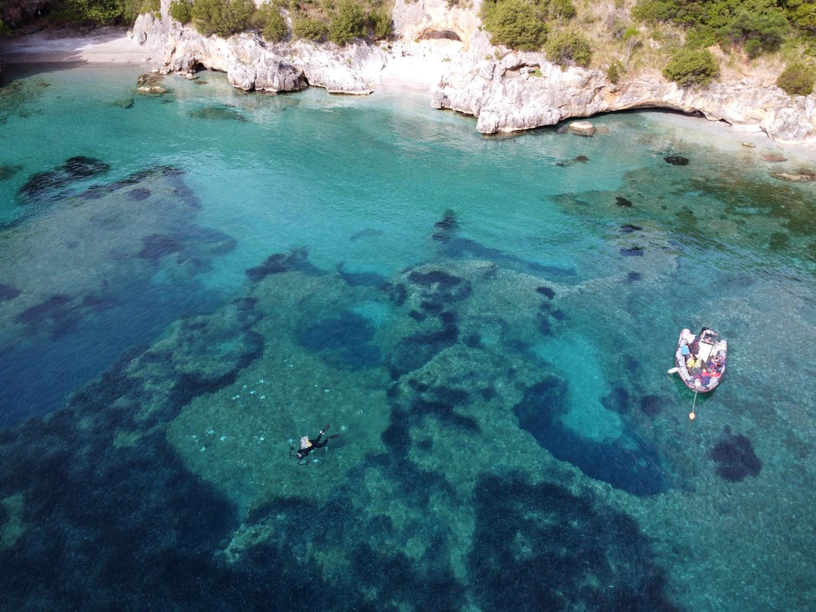 Posidonia oceanica restoration site at La Maddalena. Here researchers use bioplastic, star-shaped modules to anchor the Posidonia cuttings into the seabed. Image courtesy of Marina Pulcini.