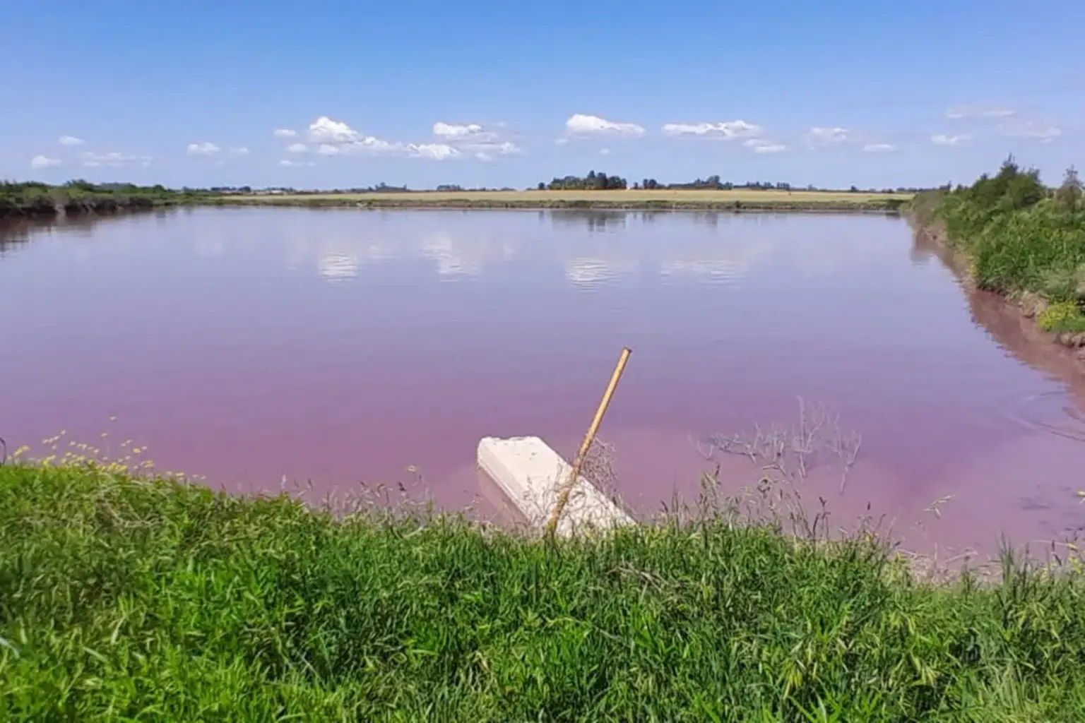 Pollution in El Espinillo Creek: ecocide reported and environmental control demanded in the Paraná River basin