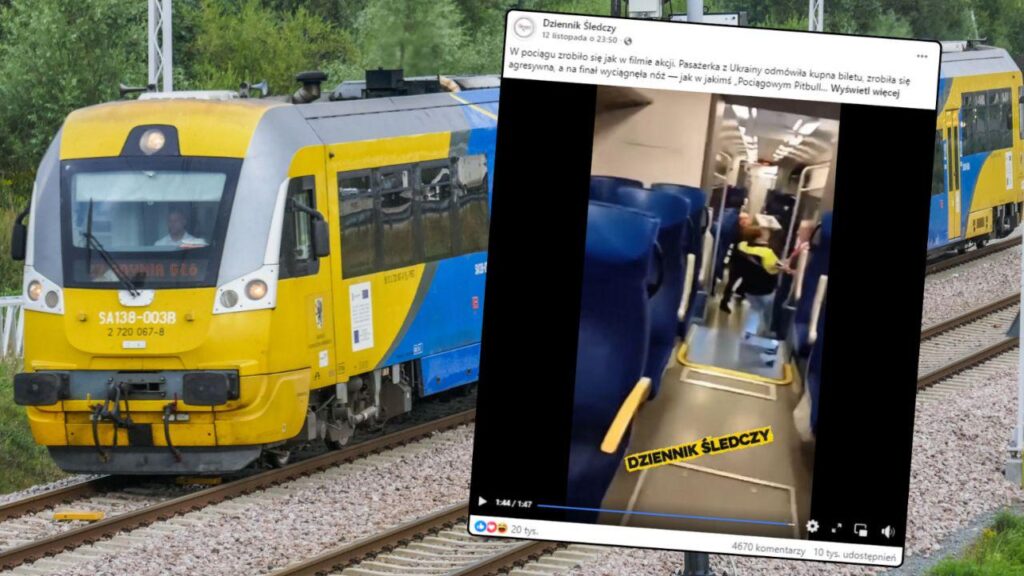 Train passenger floors knife-wielding woman with suitcase