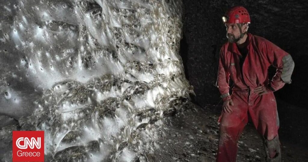 The largest web, with 111,000 spiders, is located in a cave on the border between Greece and Albania