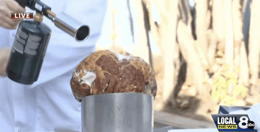 Tired of Turkey? Try Flame Crusted Ham - LocalNews8.com